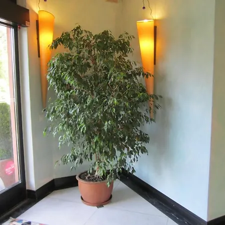 Garni Alba Hotel 3*